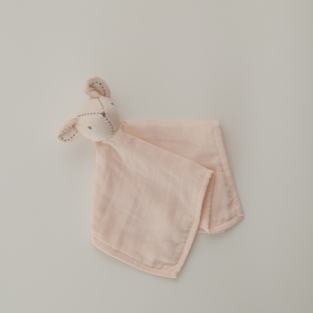 Zoey muslin napkins Blush Whiskers Muslin Comforter for Baby