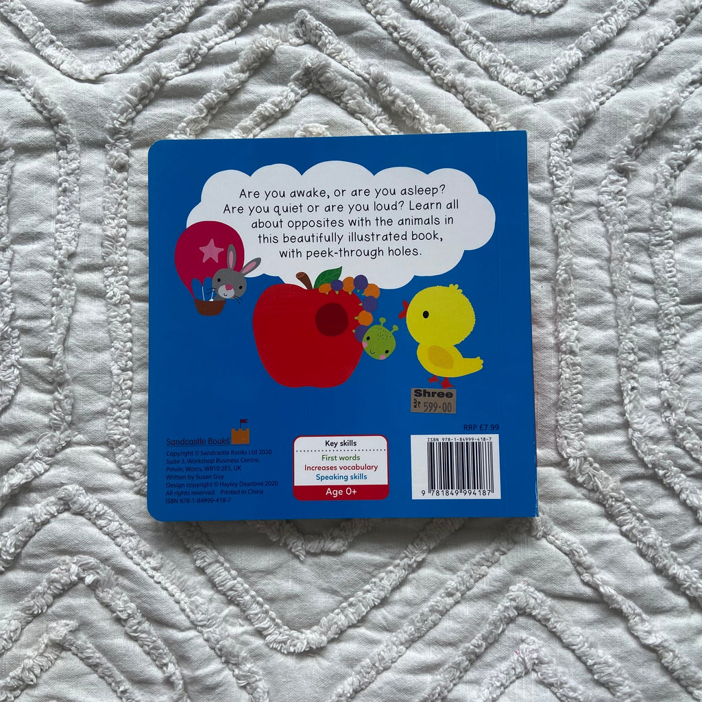 Zoey Books Big & Small Learning Opposites Children's Book