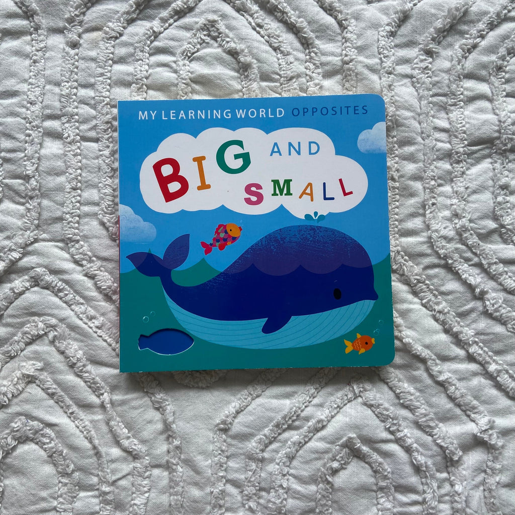 Zoey Books Big & Small Learning Opposites Children's Book