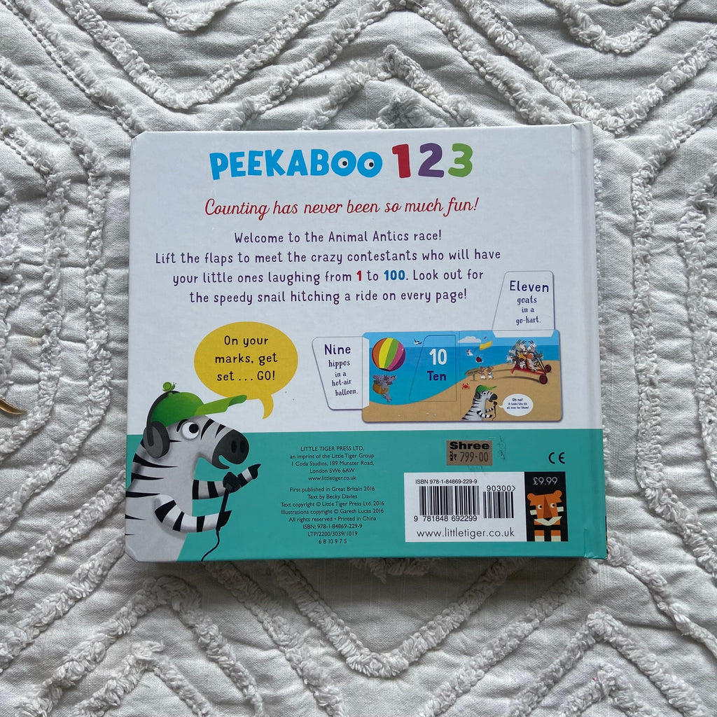 Zoey Books Peekaboo 1 2 3 Children's Book