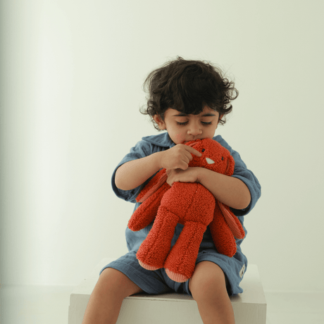 Zoey Cotton Toy Kubo - The Cuddly Teddy Toy